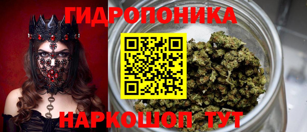 Бошки марихуана семена  Бошки Шишки семена  Семилуки  Вход с VPN 
